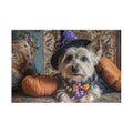 Customizable Jigsaw Puzzle: Witchy Yorkie - Jigsaw Puzzle Studios - Main