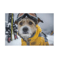 Customizable Jigsaw Puzzle: Dog Day on the Slopes - Jigsaw Puzzle Studios - Main