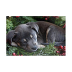 Customizable Jigsaw Puzzle: Christmas Puppy - Jigsaw Puzzle Studios - Main