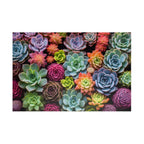 Jigsaw Puzzle: Succulent Variety - Jigsaw Puzzle Studios - Main
