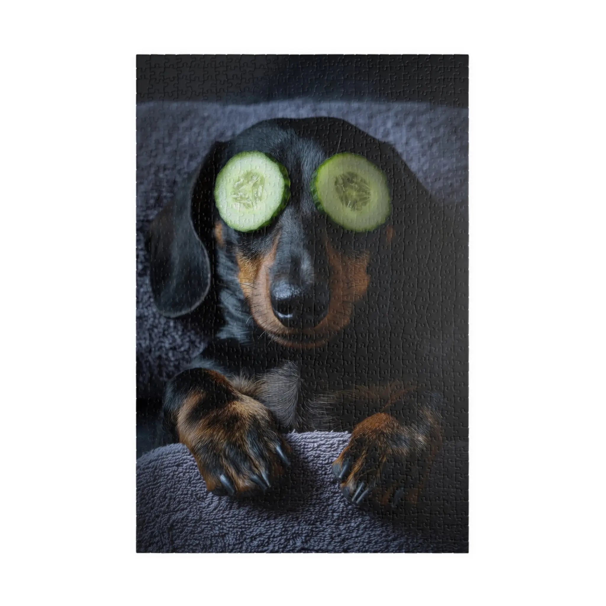 Customizable Jigsaw Puzzle: Dachshund Relaxing with Cucumbers - Jigsaw Puzzle Studios - Main