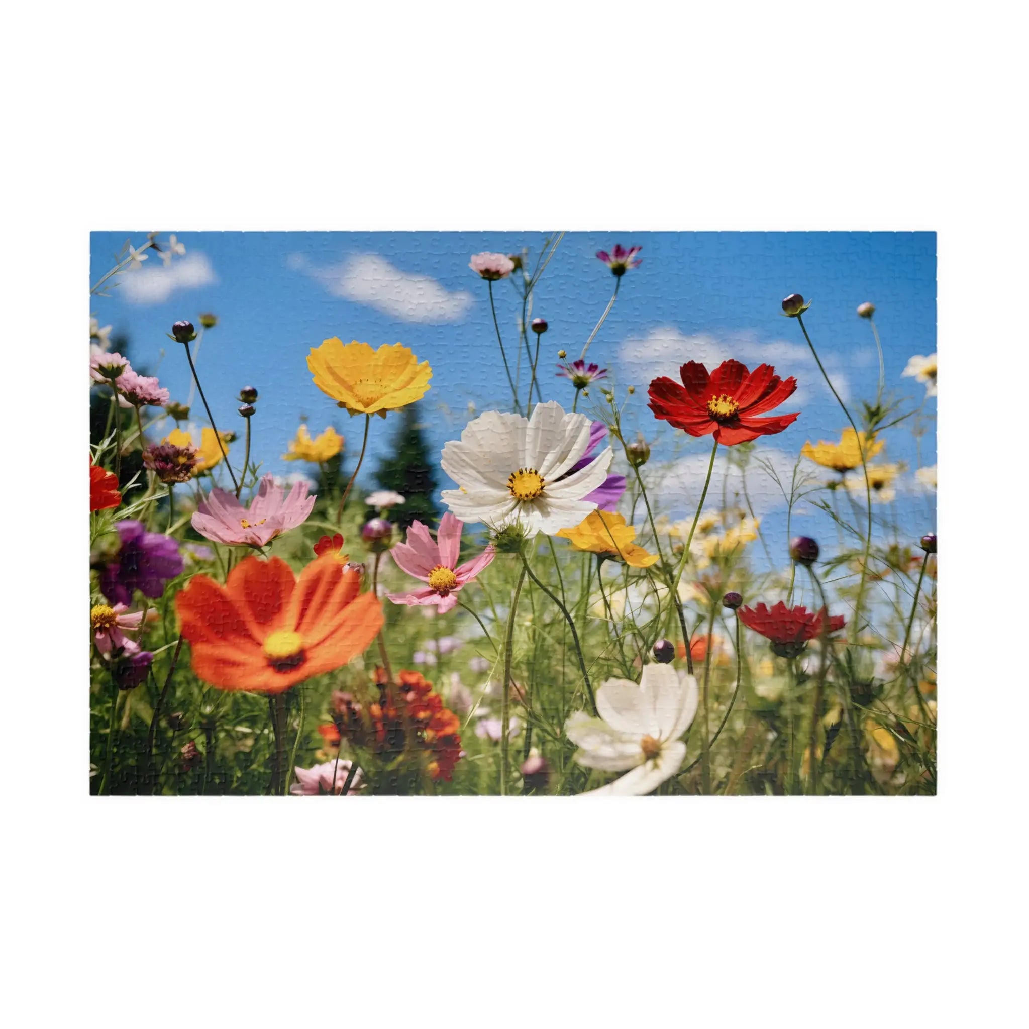 Jigsaw Puzzle: Wild Flower Color - Jigsaw Puzzle Studios - Main