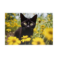 Customizable Jigsaw Puzzle: Daisy Fun - Jigsaw Puzzle Studios - Main
