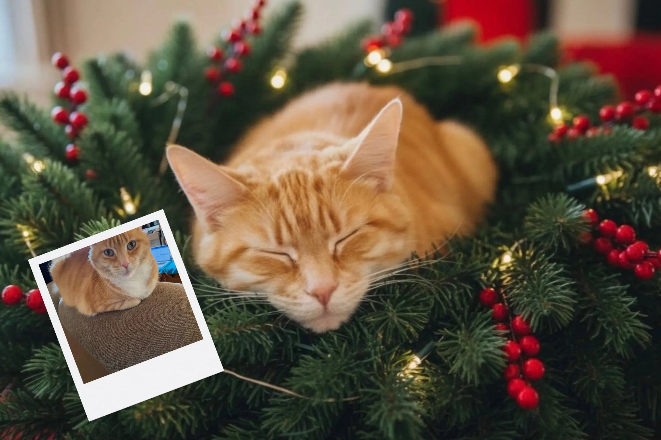 Customizable Jigsaw Puzzle: Christmas Puppy - Jigsaw Puzzle Studios - Custom with Cat