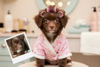 Customizable Jigsaw Puzzle: Cute Poodle Hair Curler Day - Jigsaw Puzzle Studios - Custom with Dog