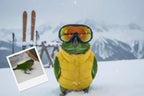 Customizable Jigsaw Puzzle: Dog Day on the Slopes - Jigsaw Puzzle Studios - Custom with Bird