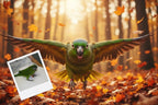 Customizable Jigsaw Puzzle: Playful Autumn Pup - Jigsaw Puzzle Studios - Custom with Bird
