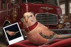 Customizable Jigsaw Puzzle: Dalmatian Fire Dog - Jigsaw Puzzle Studios - Custom with Bird