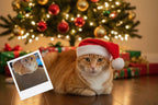 Customizable Jigsaw Puzzle: Kitty Christmas - Jigsaw Puzzle Studios - Custom with Cat