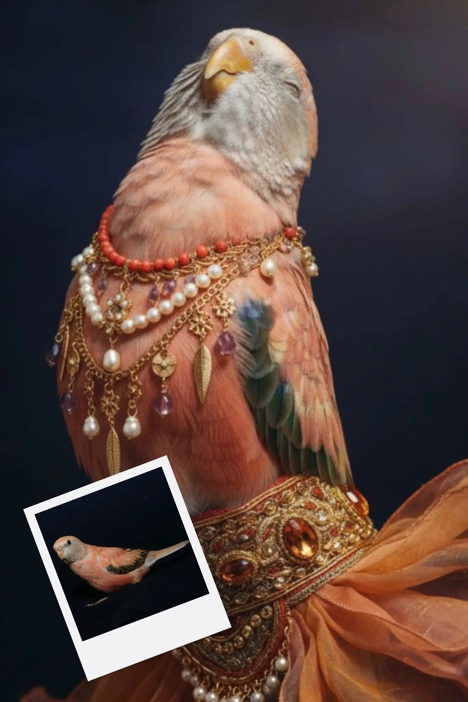 Customizable Jigsaw Puzzle: Belly Dancing Cat - Jigsaw Puzzle Studios - Custom with Bird