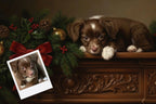 Customizable Jigsaw Puzzle: Cozy Tabby Cat Christmas - Jigsaw Puzzle Studios - Custom with Dog