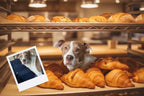 Customizable Jigsaw Puzzle: Cozy Bakery Cat - Jigsaw Puzzle Studios - Custom with Dog