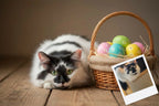 Customizable Jigsaw Puzzle: Puppy & Easter Eggs - Jigsaw Puzzle Studios - Custom with Cat