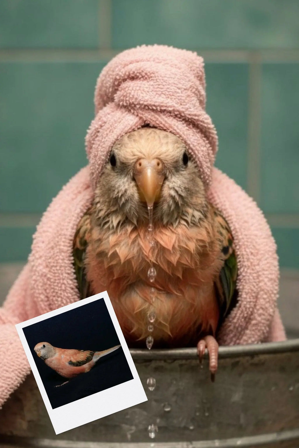 Customizable Jigsaw Puzzle: Dachshund Spa Day - Jigsaw Puzzle Studios - Custom with Bird
