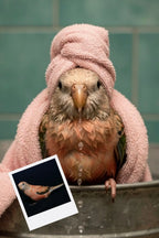 Customizable Jigsaw Puzzle: Dachshund Spa Day - Jigsaw Puzzle Studios - Custom with Bird