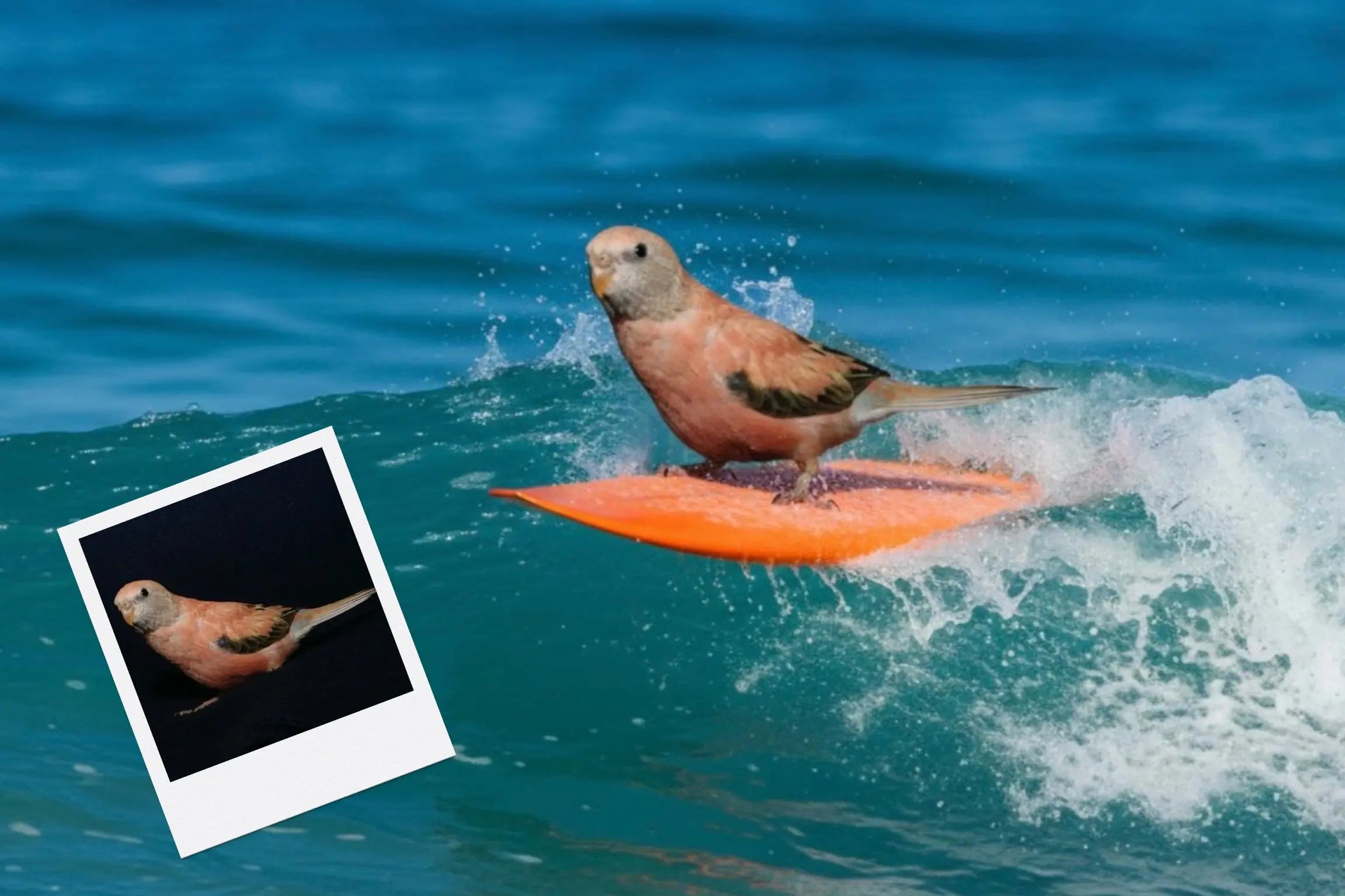 Customizable Jigsaw Puzzle: Surfing Dog - Jigsaw Puzzle Studios - Custom with Bird