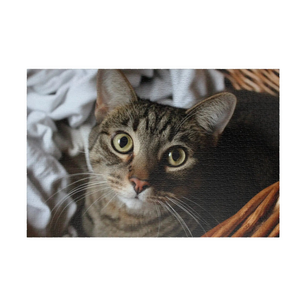 Customizable Jigsaw Puzzle: Laundry Tabby Cat - Jigsaw Puzzle Studios - Main
