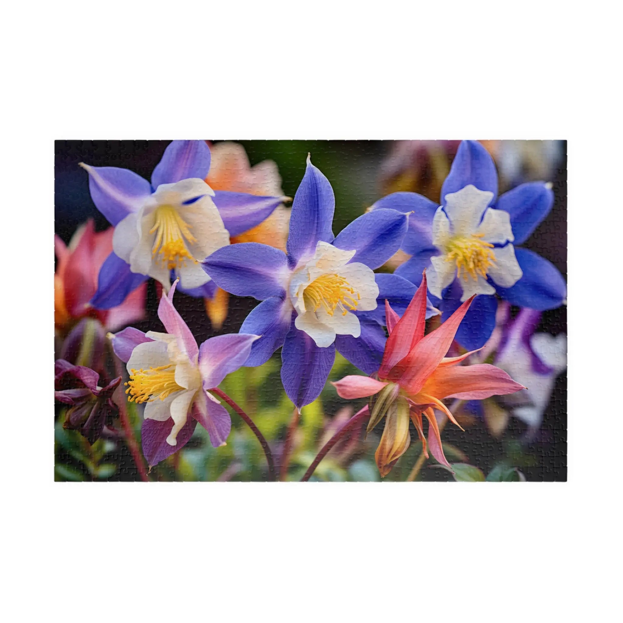 Jigsaw Puzzle: Colorful Columbines - Jigsaw Puzzle Studios - Main