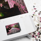 Jigsaw Puzzle: Cherry Blossoms Walkway - Jigsaw Puzzle Studios - Box